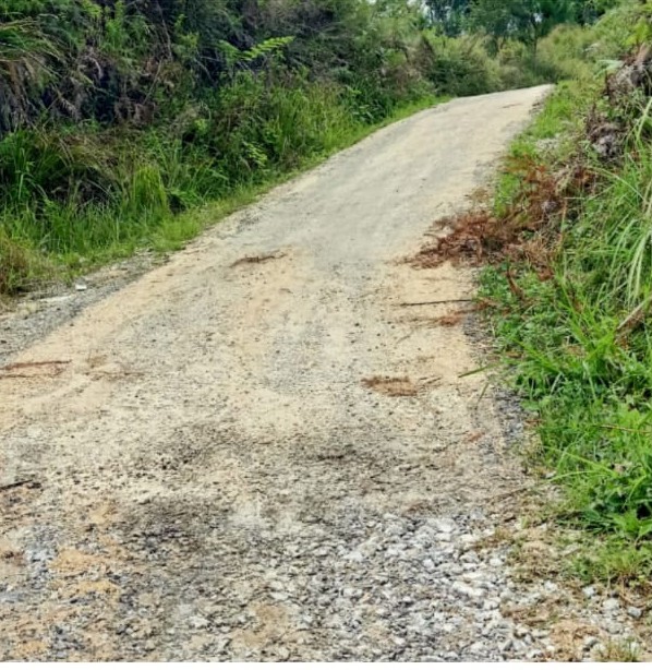 Baru Diaspal, Jalan Desa Hutaraja Hasundutan Sudah Rusak!  Dana Desa Kemana?