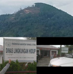 GridArt_20250122_123621089~2